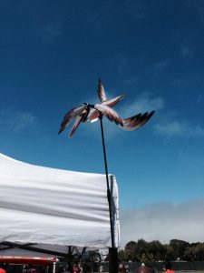 Pelican In Flight